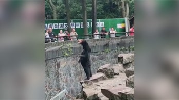 Chinese zoo goes viral as it denies its sun bears are humans in disguise
