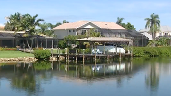 Florida neighborhood terrorized after crocodile eats small dog