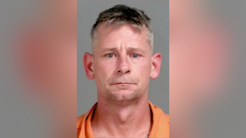 Michigan man accused of ripping head off girlfriend's pet duck for 'psychological domination': Sheriff
