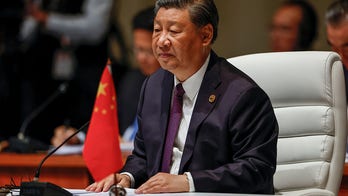 China's Xi likely to join Putin in skipping G20 summit next month: report