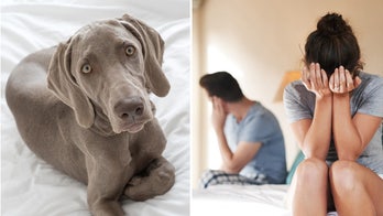 Married couple fights after 75-pound dog refuses to leave the husband's side — even in bed