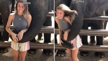 Woman goes viral after she's knocked to the ground while taking photos with elephants in Thailand