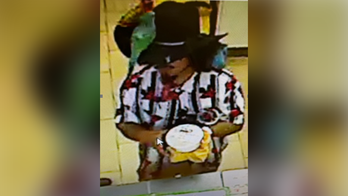 Virginia 'bird bandit' wanted after robbing victim at knifepoint while parrots sat on hat, shoulder: police