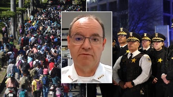 Non-citizens enforcing US laws will create problems, says Illinois sheriff: ‘Become a citizen, and then apply’