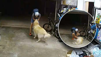 Burglar takes break from robbing home to cozy up with overly friendly family dog: 'I love you, too'