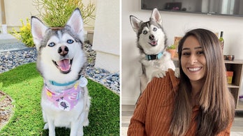 California woman about to give birth teaches dog how to ‘speak’ to husband, ask for food and pampering