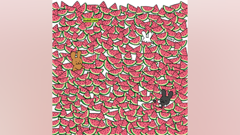 Brain teaser: How long will it take you to find 5 seedless watermelons?