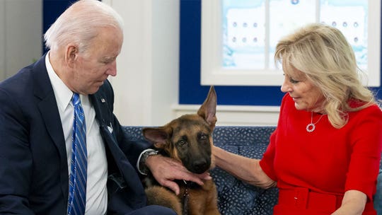 Some in Biden's staff worry his dog only has 'appetite' for Secret Service members