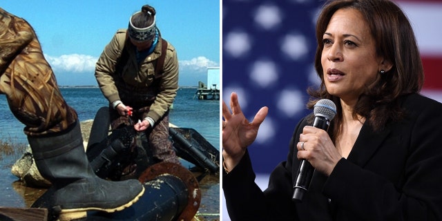 Kamala Harris, Wampanoags
