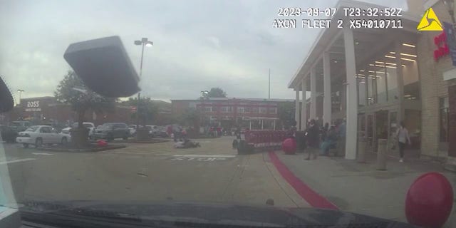 Shoplifter and police fighting
