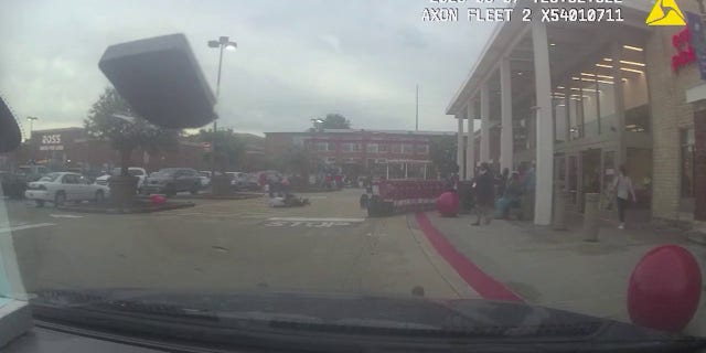 Shoplifter and police fighting