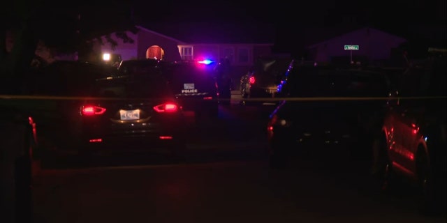 Police lights at night