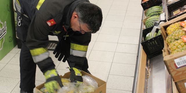 Austrian fire brigade member searches box for spider