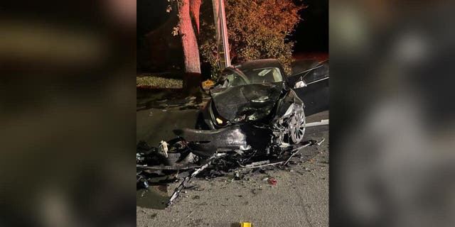 Damaged Tesla