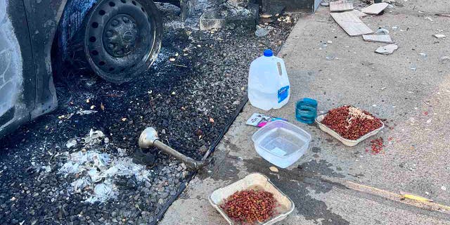 Food drop for cats near burned out car