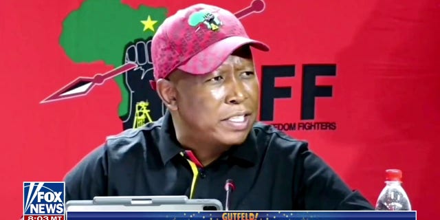 a photo of Julius Malema