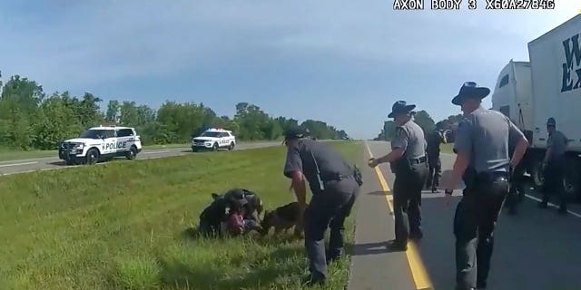 dog attacking man
