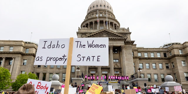 Idaho abortion protestors