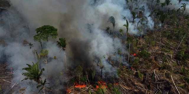 Smoke rises from a forest fire