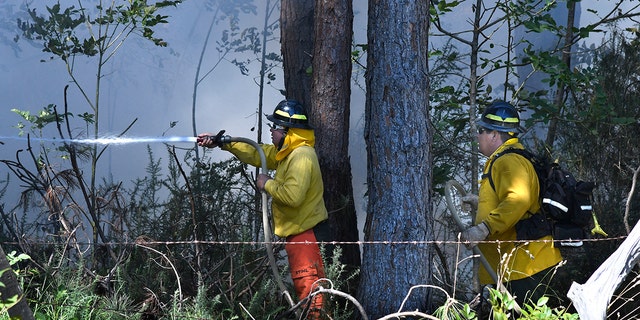 Firefighters working in Hawaii