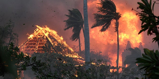 Hawaii wildfire devastation