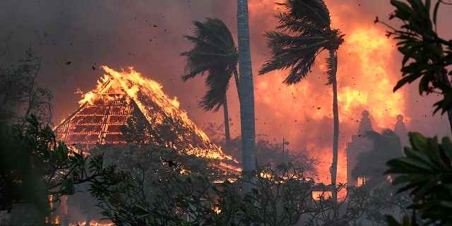 Hawaii wildfire devastation