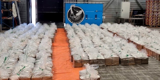 Cocaine seizure