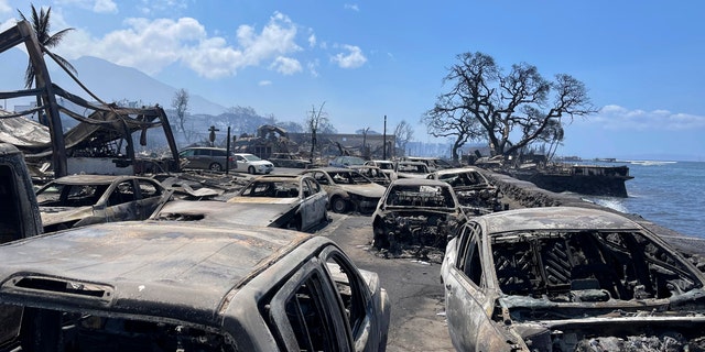Cars burned after Hawaii wildfire