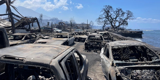 Cars burned after Hawaii wildfire