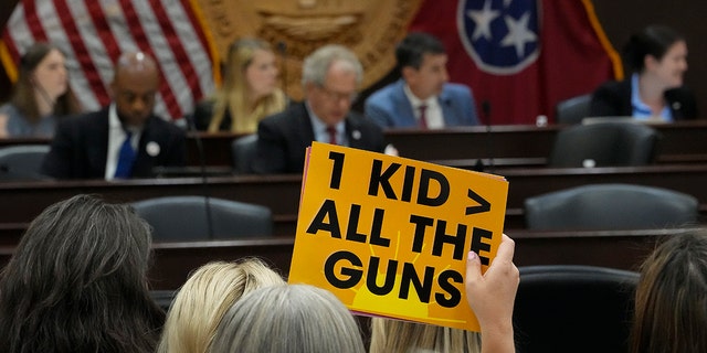 A demonstrator in Tennessee 