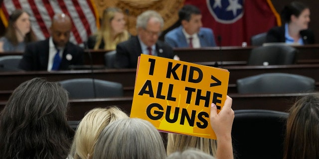 A demonstrator in Tennessee