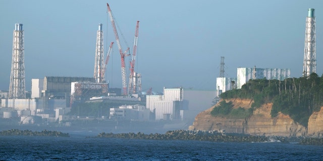 The plant off in the distance