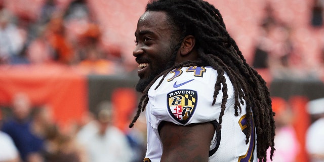 Alex Collins vs Browns