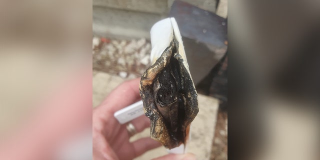 Woman holding burnt-out remains of defective baby monitor