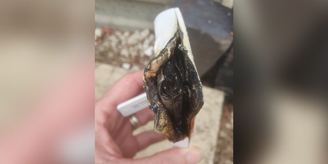 Woman holding burnt-out remains of defective baby monitor