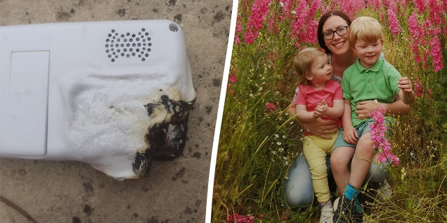 split photo: left, baby monitor, right mom with two kids