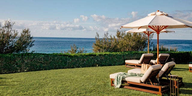 Balearic Islands garden