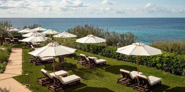 Balearic island garden 2