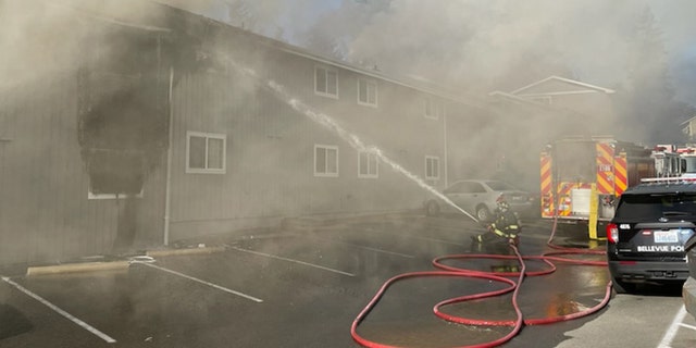 firefighter spraying water onto building