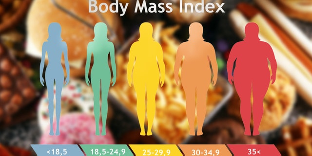 body mass index obesity 