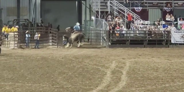 bull escaping arena