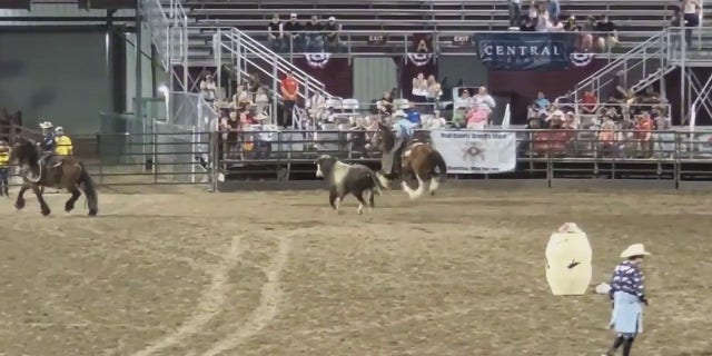 bull running in arena