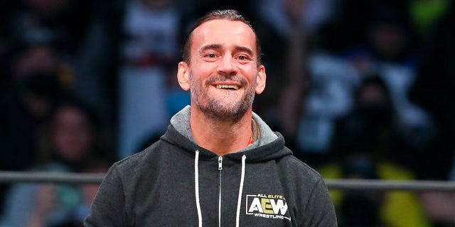 AEW star CM Punk poses with 'trans rights are human rights' sign at All ...