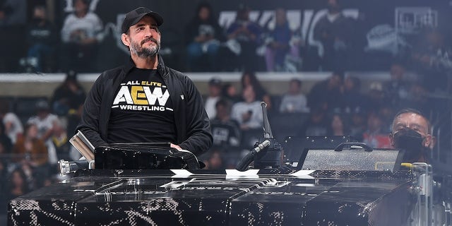 CM Punk at NHL game