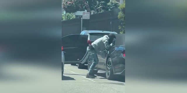 Thief steals from vehicles