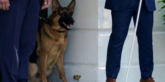 Commander at White House