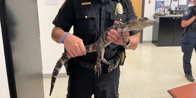 Exeter Township police department