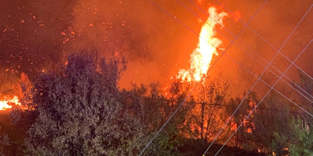 austin texas brushfire