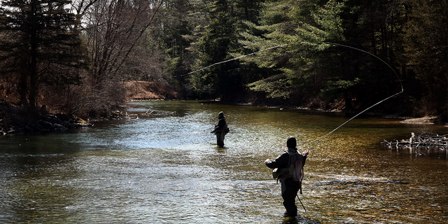 Fly Fishing