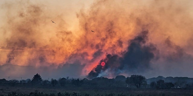France Wildfire